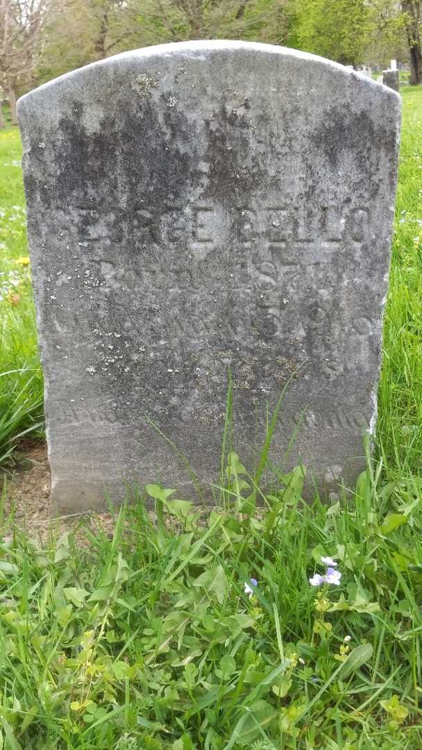 George Dello's grave. Photo 3