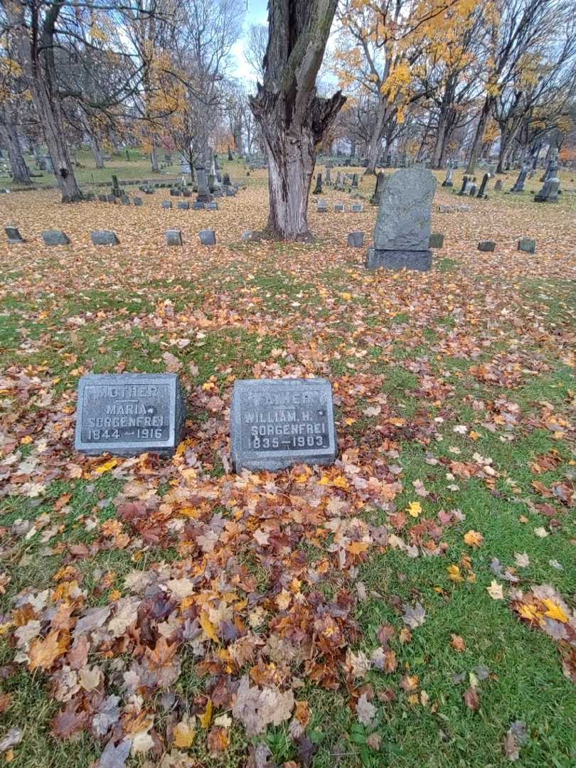William H. Sorgenfrei's grave. Photo 2