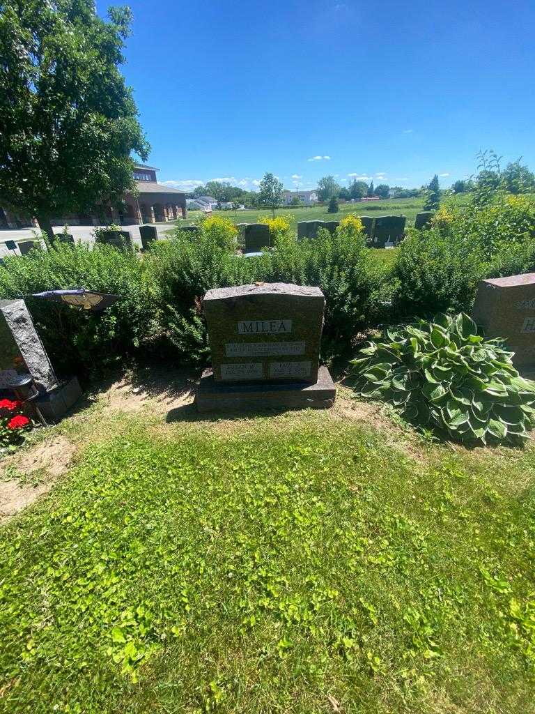 Paul J. Milea's grave. Photo 1