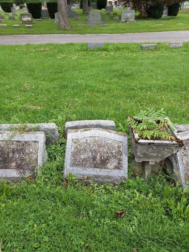 Viola Donnelly's grave. Photo 1