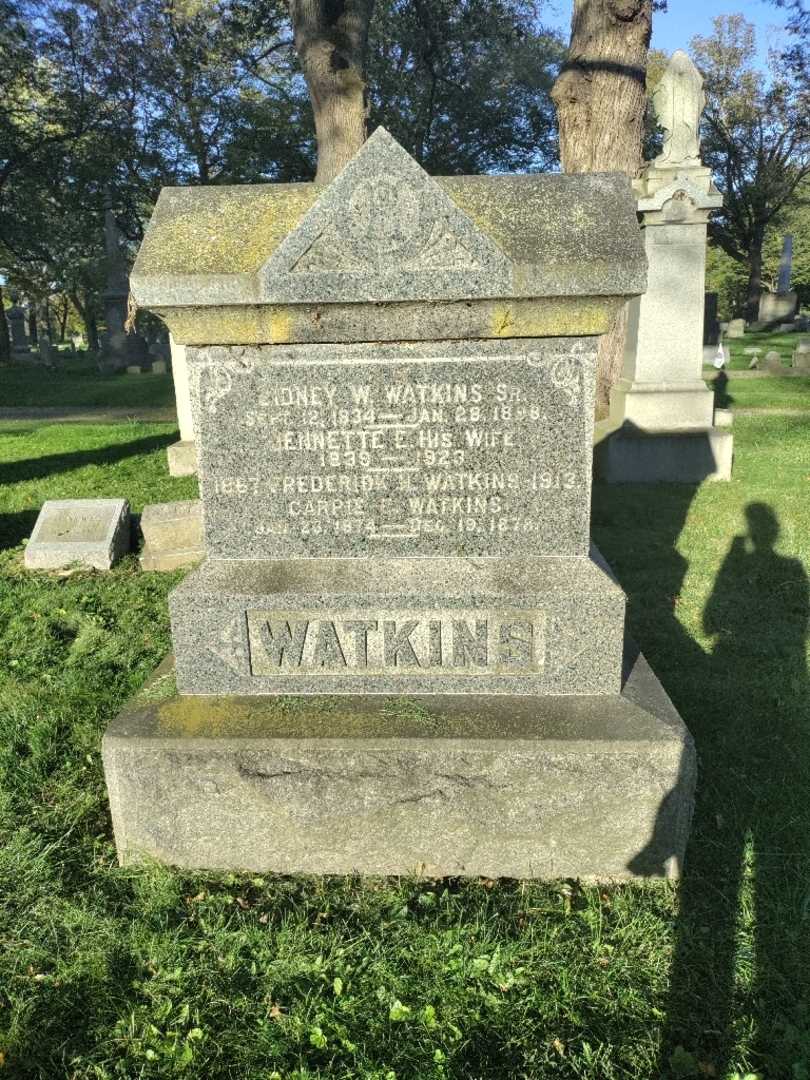 Sidney W. Watkins's grave. Photo 2