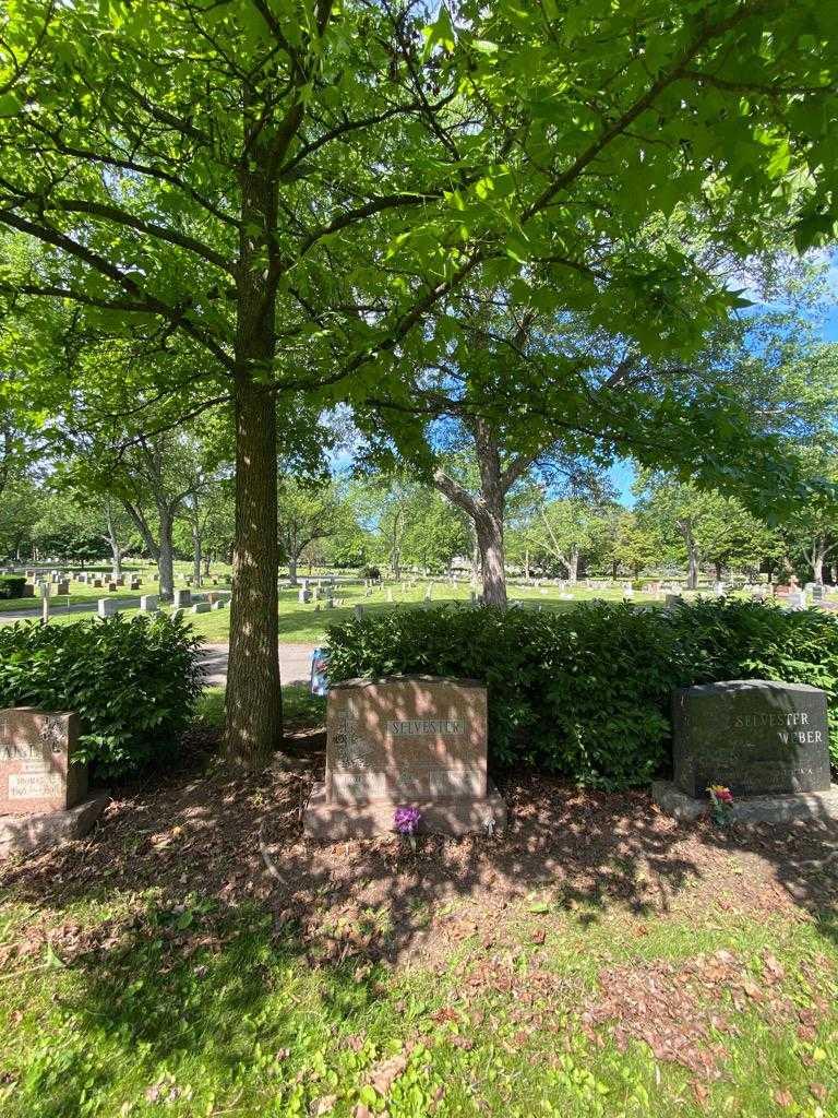 Palma A. Selvester's grave. Photo 1