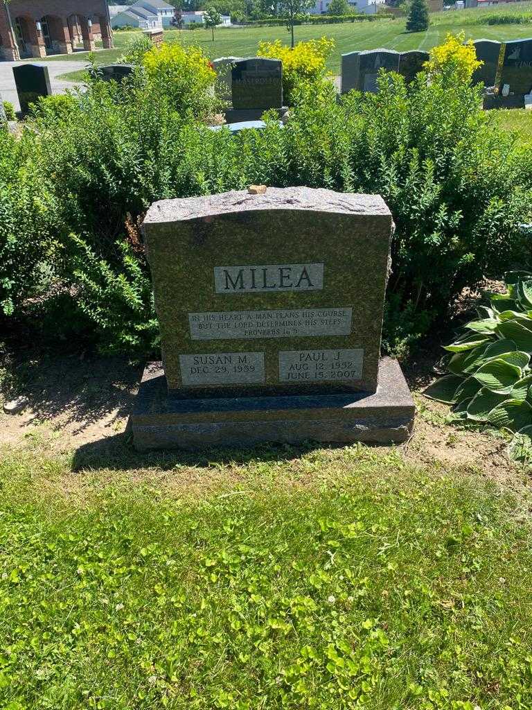 Paul J. Milea's grave. Photo 2