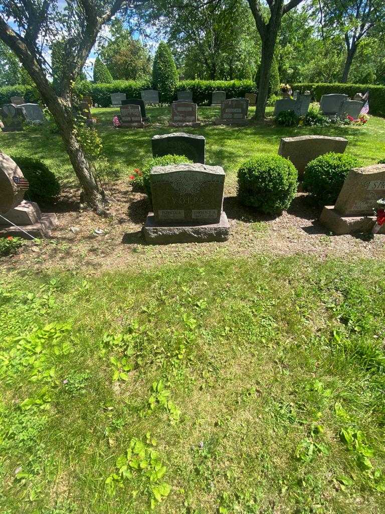 Lawrence A. Volpe's grave. Photo 1