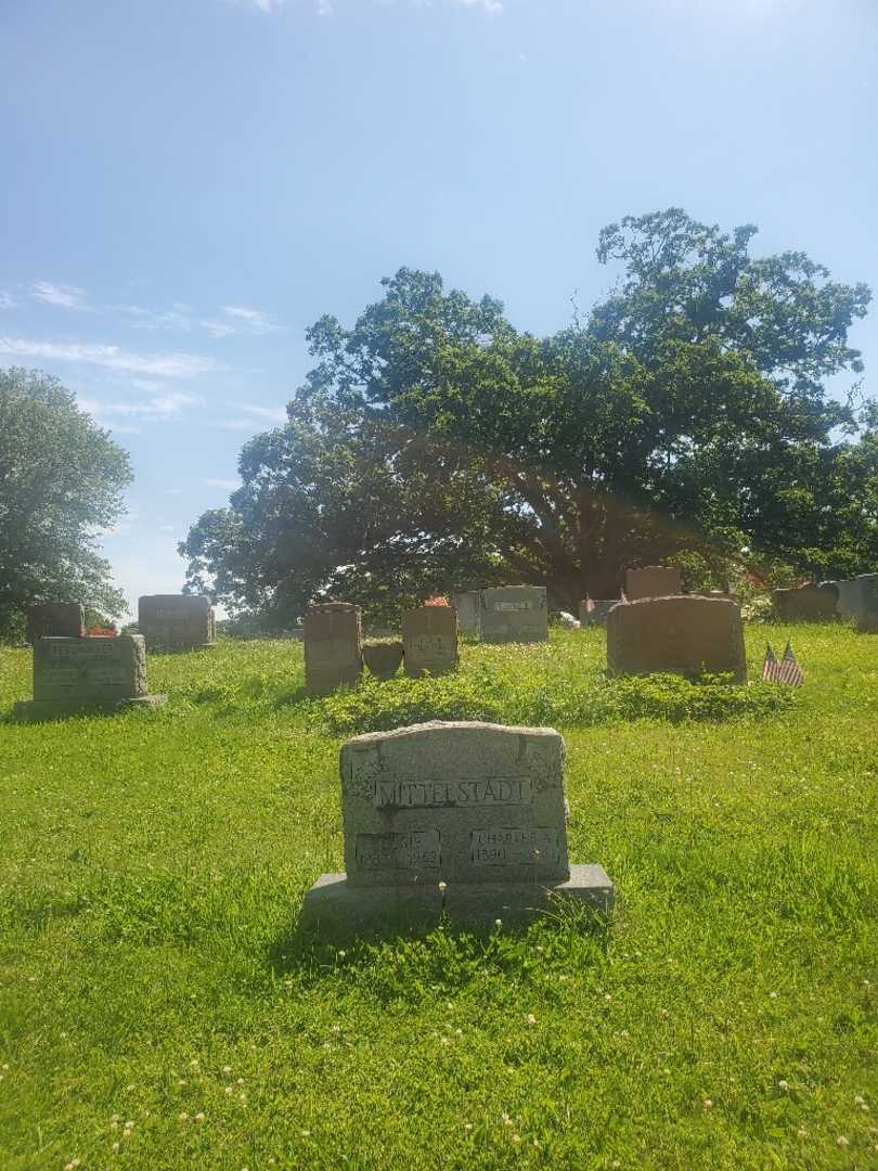 Jessie Mittelstadt Stevenson's grave. Photo 1