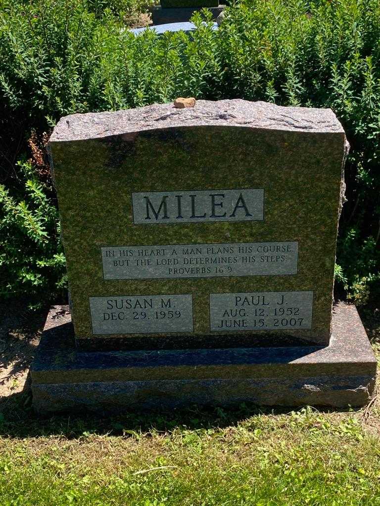 Paul J. Milea's grave. Photo 3