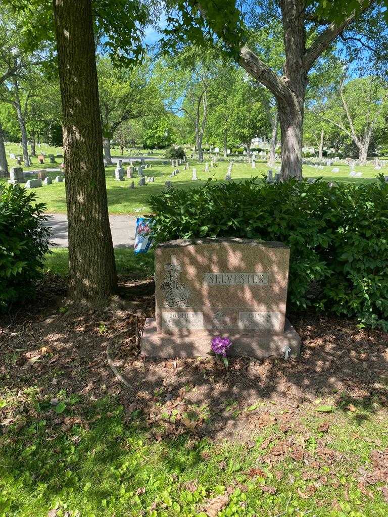 Joseph A. Selvester's grave. Photo 2