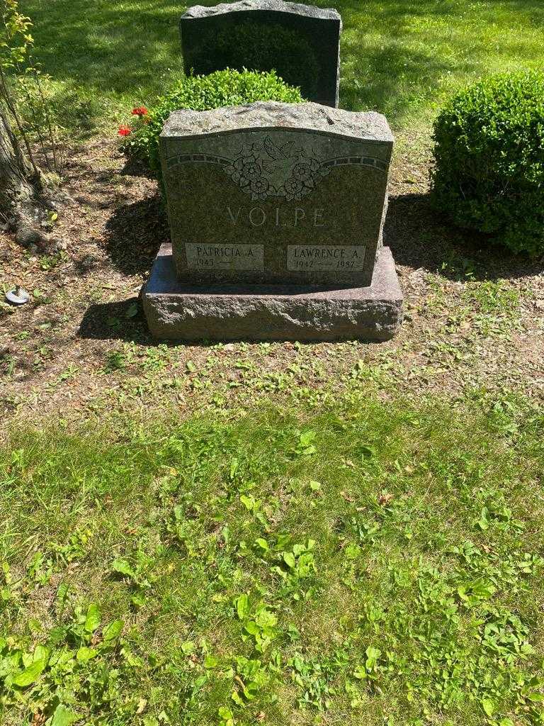 Lawrence A. Volpe's grave. Photo 2