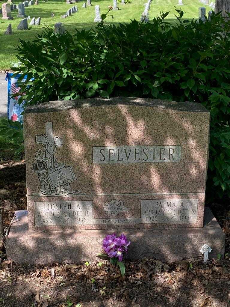 Joseph A. Selvester's grave. Photo 3