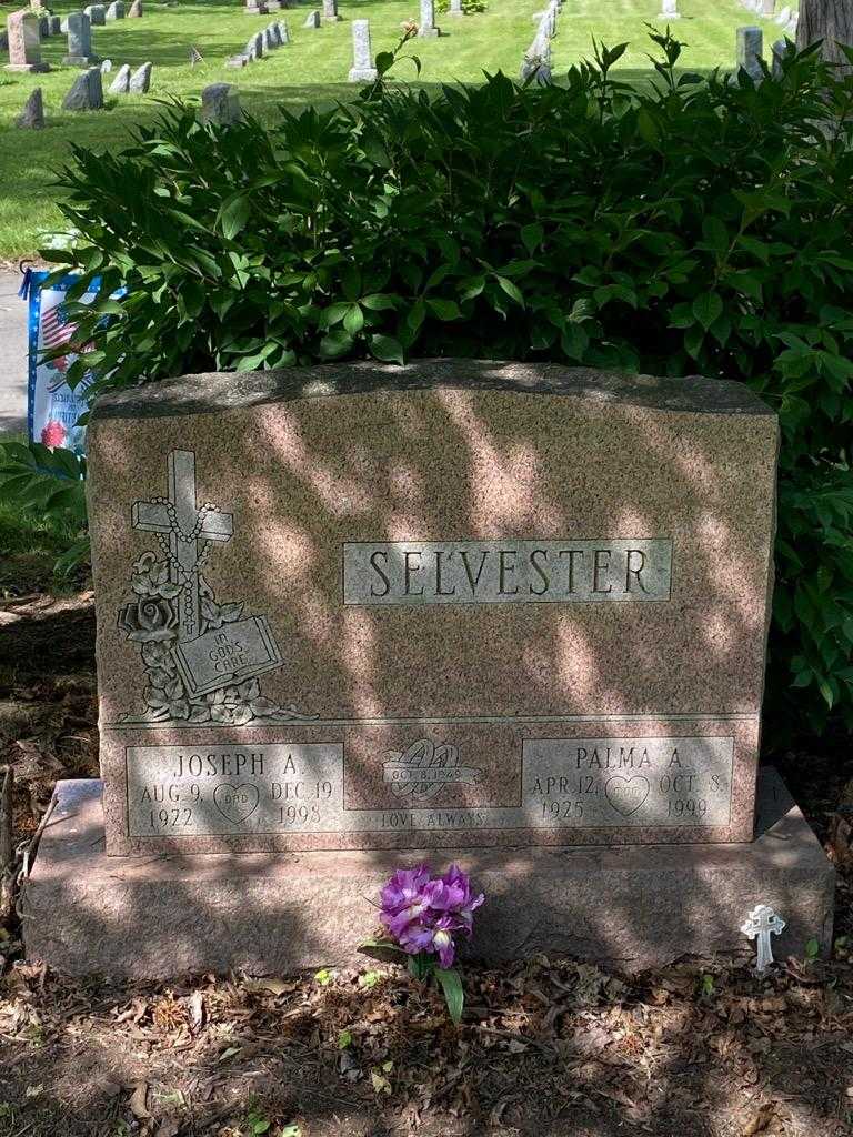 Palma A. Selvester's grave. Photo 3