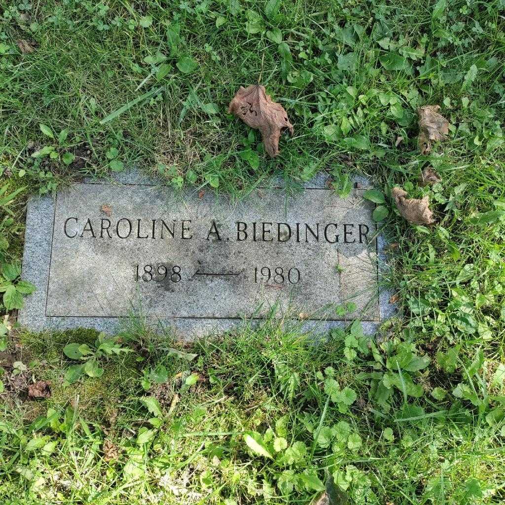 Caroline A. Biedinger's grave. Photo 4