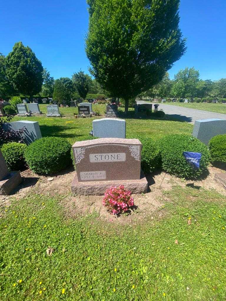 Sharon A. Stone's grave. Photo 1