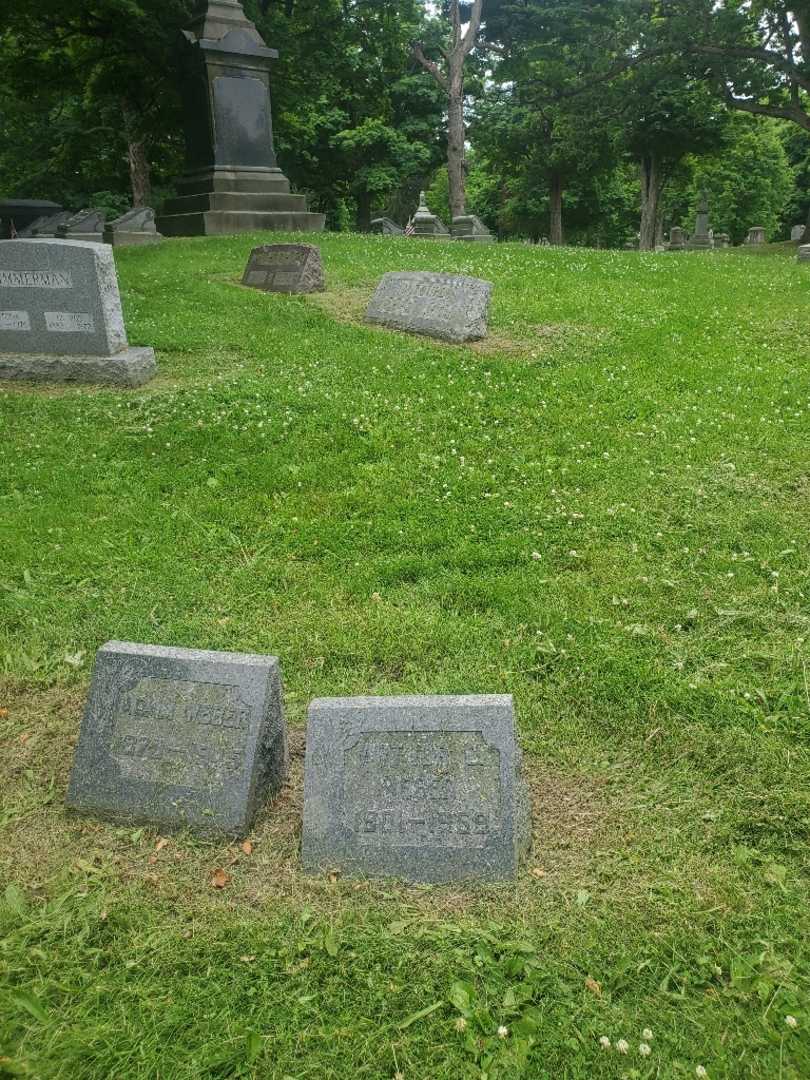 Arthur C. Weber's grave. Photo 1