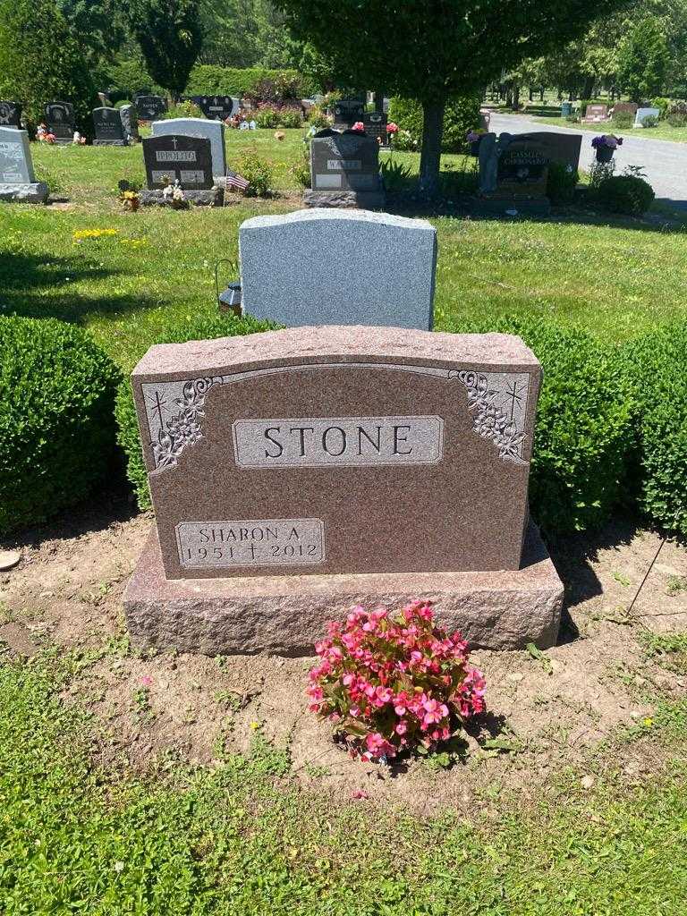 Sharon A. Stone's grave. Photo 2