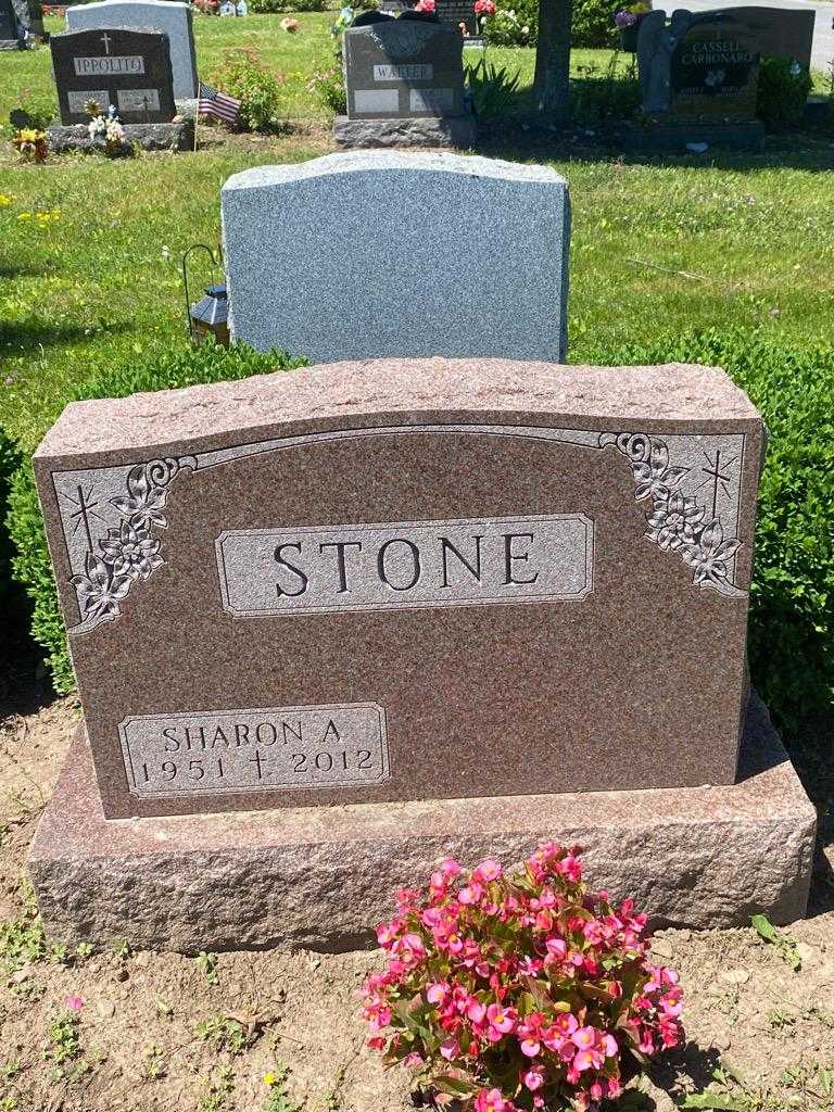 Sharon A. Stone's grave. Photo 3