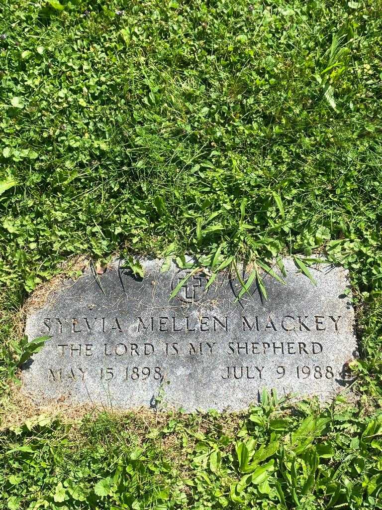 Sylvia Mellen Mackey's grave. Photo 1