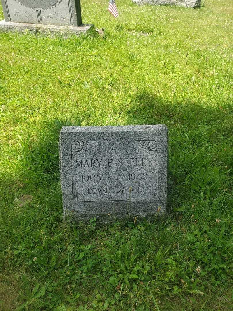 Mary Etta Seeley's grave. Photo 2
