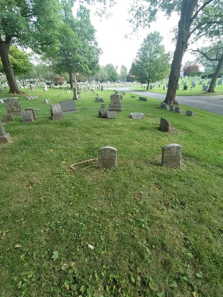 Rose D. Haskins's grave. Photo 1