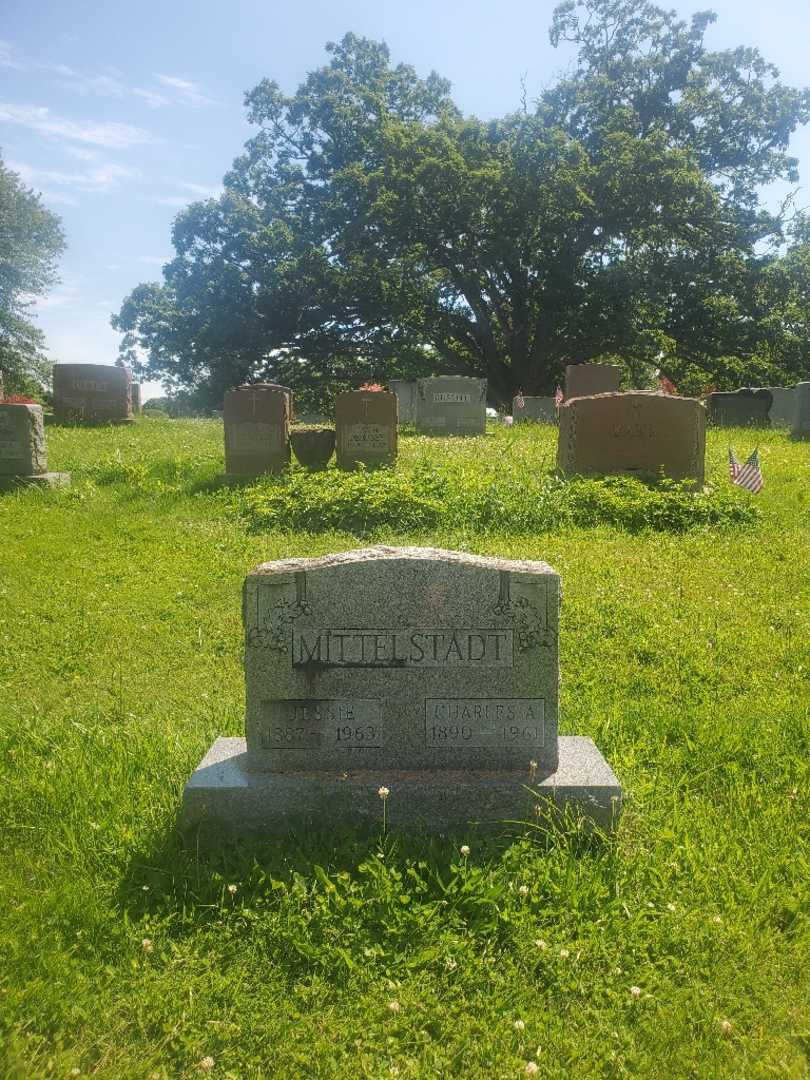 Jessie Mittelstadt Stevenson's grave. Photo 3