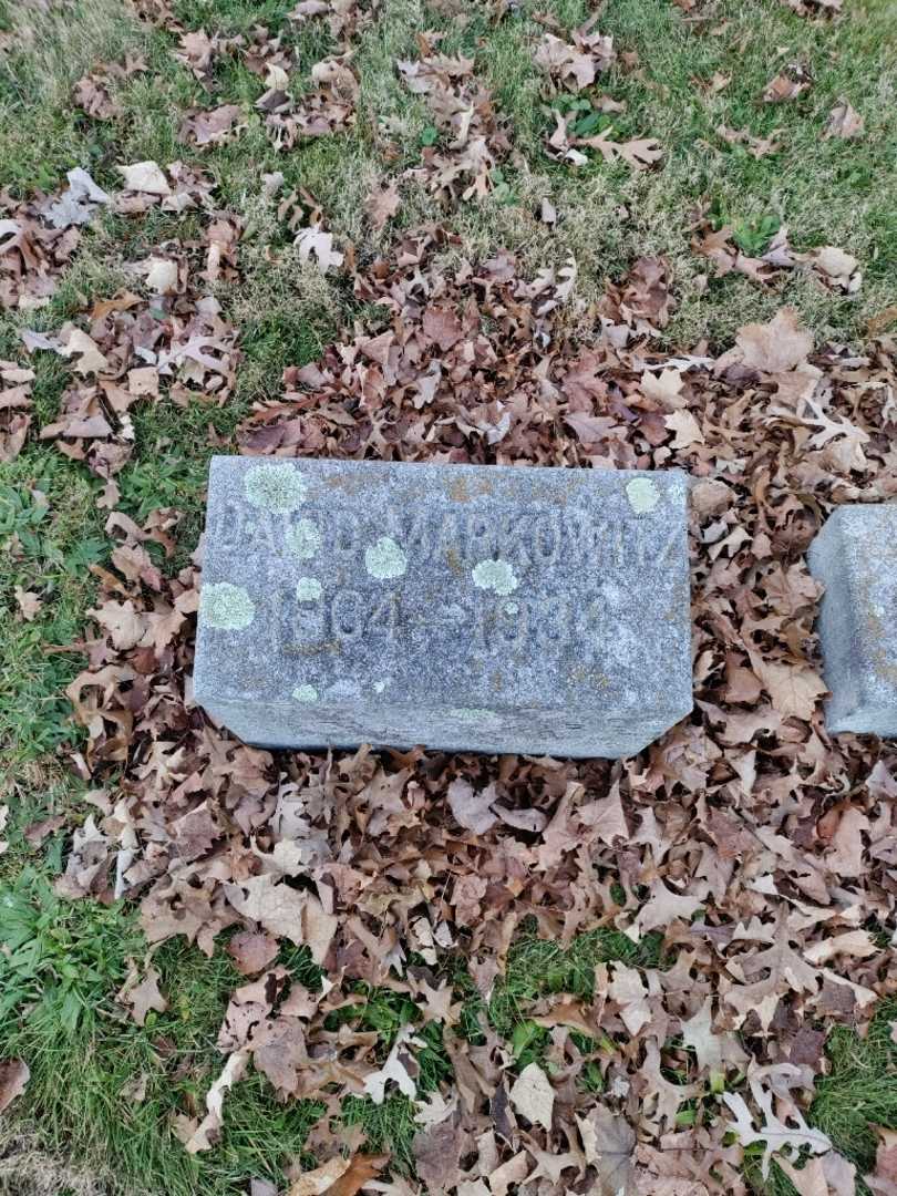 David Markowitz's grave. Photo 2