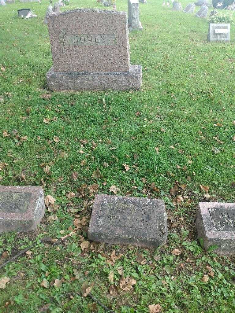 Alice K. Jones's grave. Photo 1