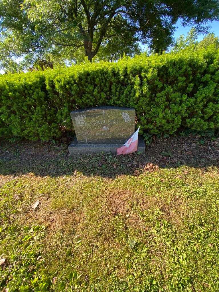 Henry J. Galuski's grave. Photo 1