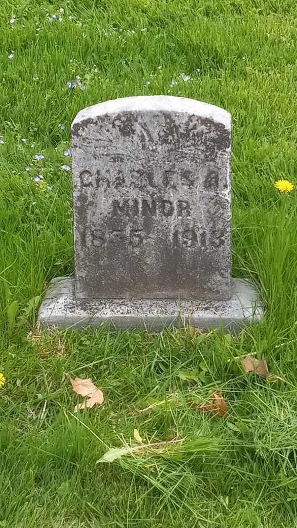 Frederick J. Nicholson's grave. Photo 3