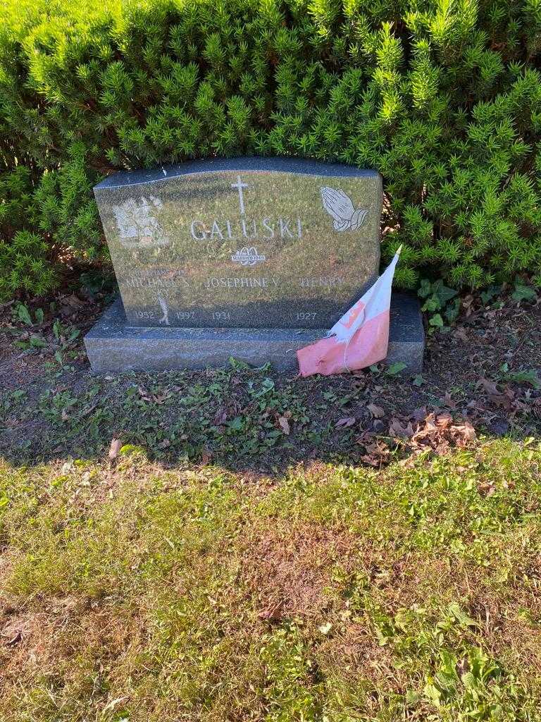 Henry J. Galuski's grave. Photo 2