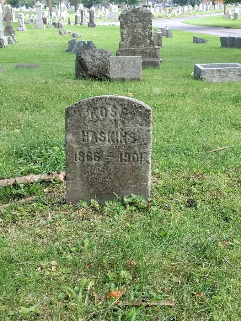 Rose D. Haskins's grave. Photo 2