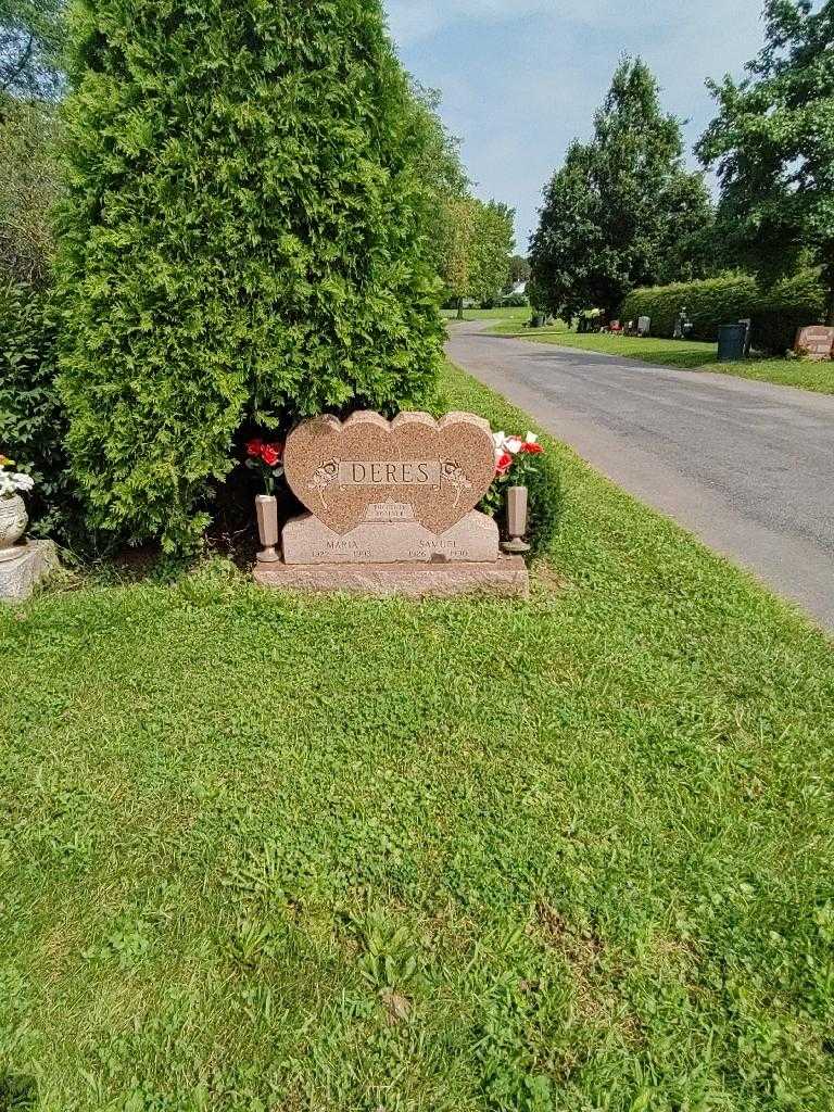 Samuel Deres's grave. Photo 3