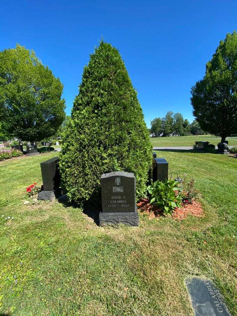 David A. Calabria's grave. Photo 1