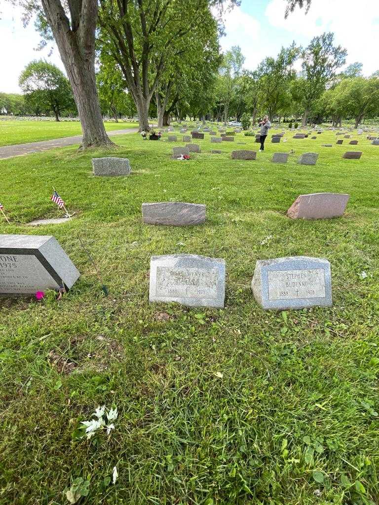 Mary Mynyk Budenko's grave. Photo 1