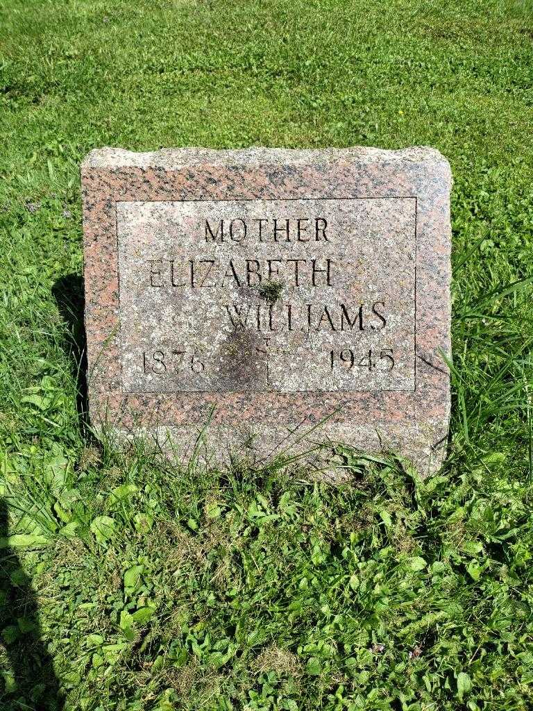 Elizabeth Williams's grave. Photo 2