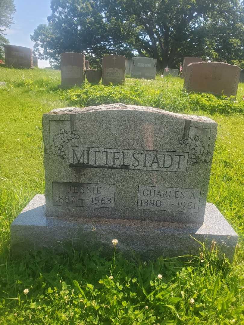 Jessie Mittelstadt Stevenson's grave. Photo 1