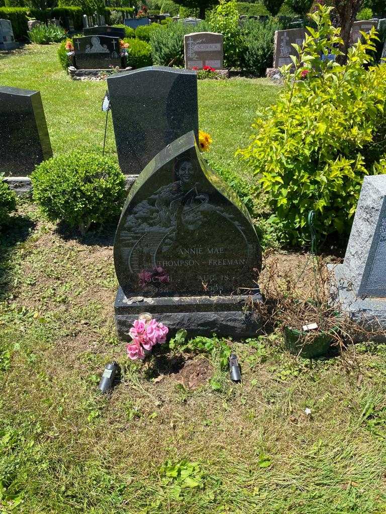 Annie Mae Thompson-Freeman's grave. Photo 2