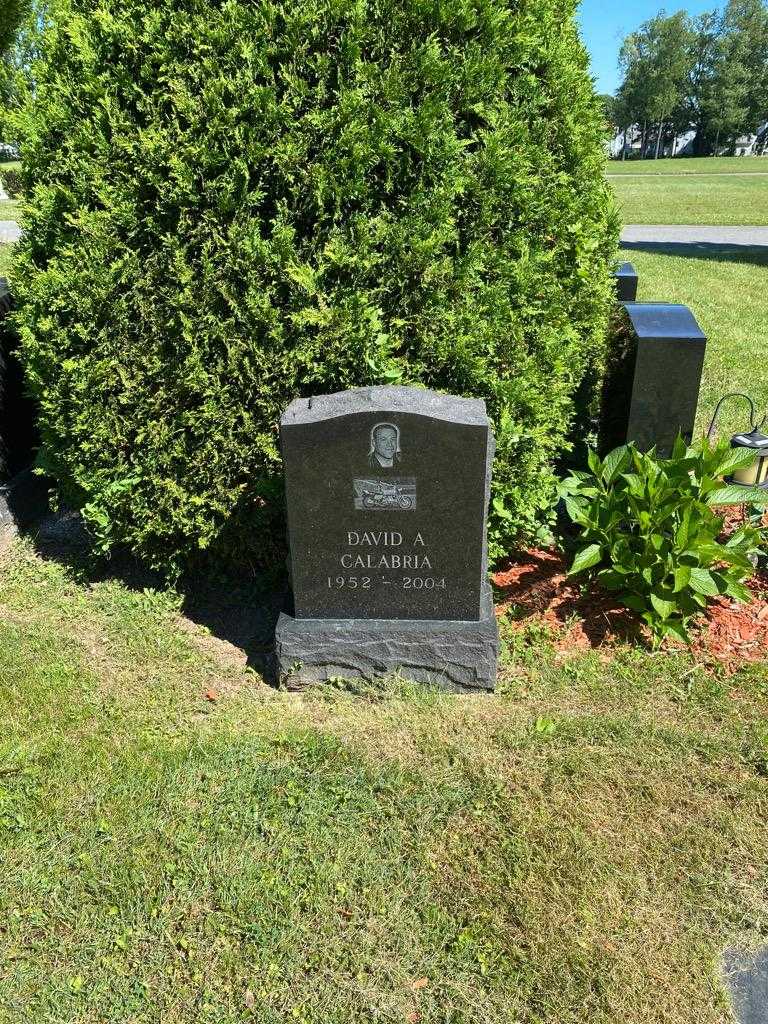 David A. Calabria's grave. Photo 2