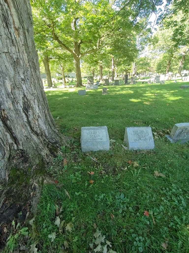 Celia L. Spicer's grave. Photo 1