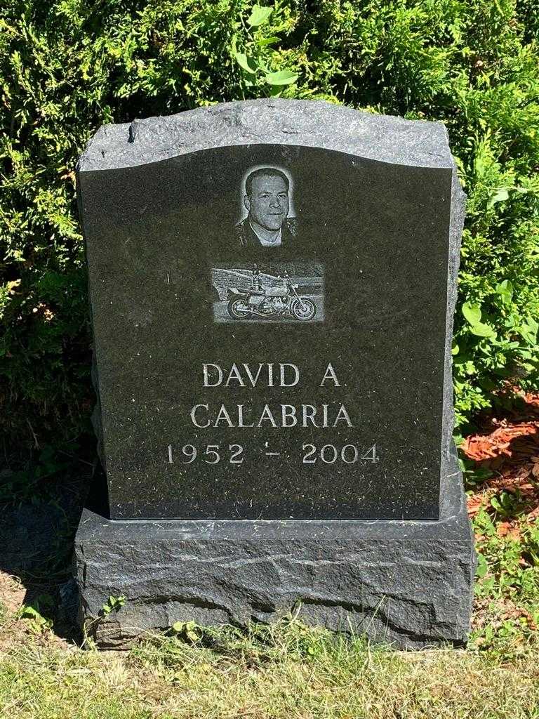 David A. Calabria's grave. Photo 3