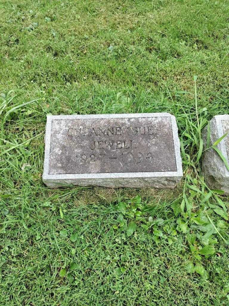 Suzanne "Sue" Jewell's grave. Photo 3
