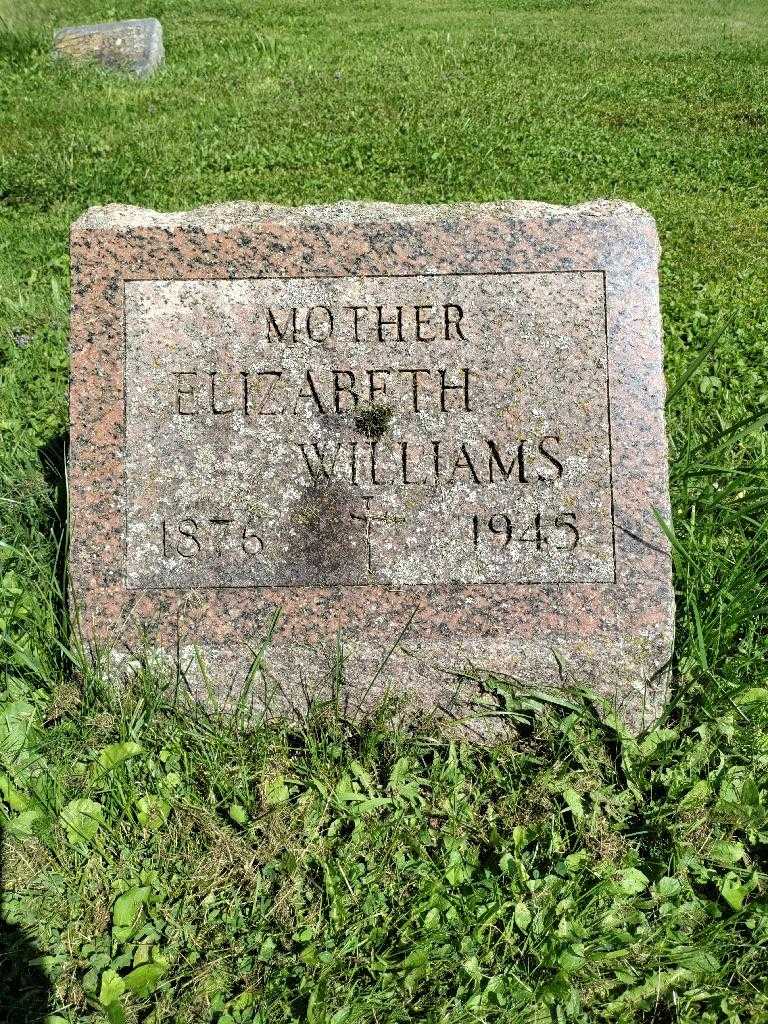 Elizabeth Williams's grave. Photo 3