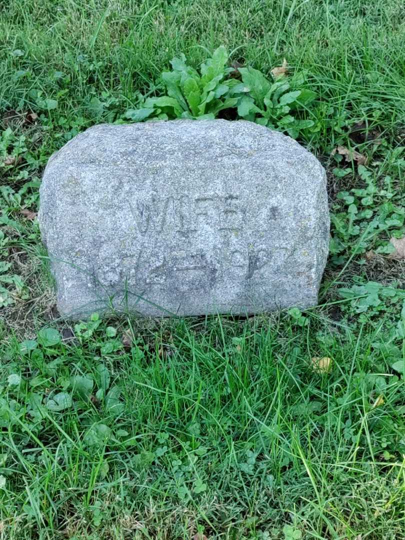 Mattie Fox's grave. Photo 3