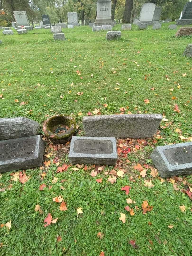 Elizabeth F. Conine's grave. Photo 2