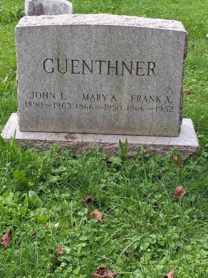 Frank X. Guenthner Senior's grave. Photo 3