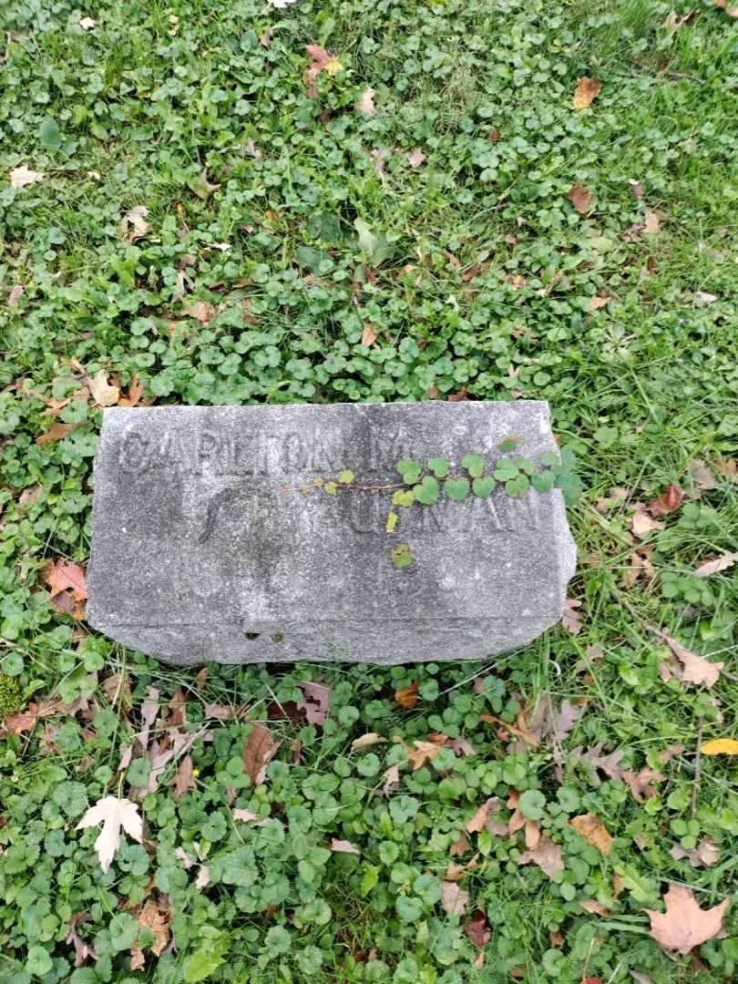 Carlton M. Trautman's grave. Photo 2