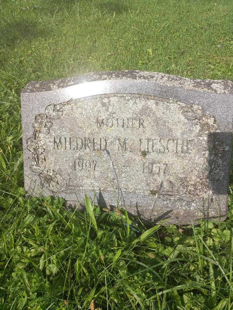 Mildred M. Liesche's grave. Photo 3