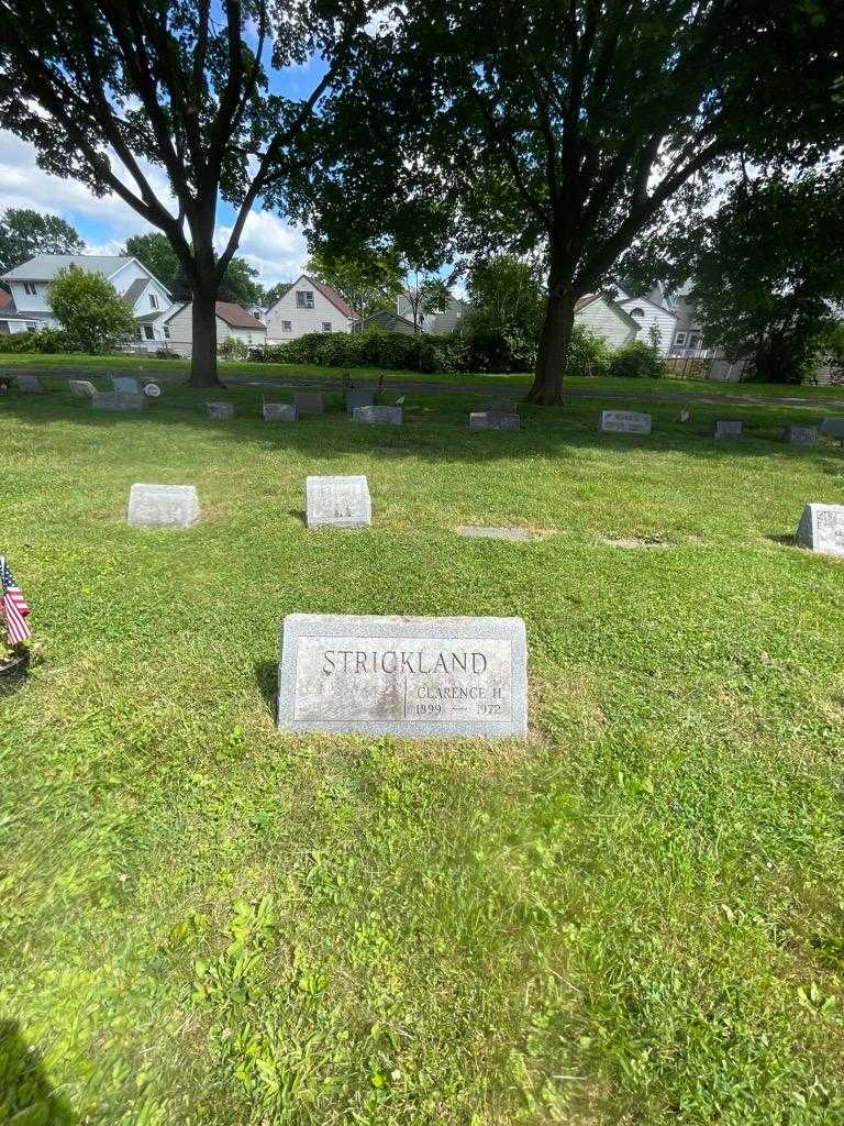 Clarence H. Strickland's grave. Photo 1
