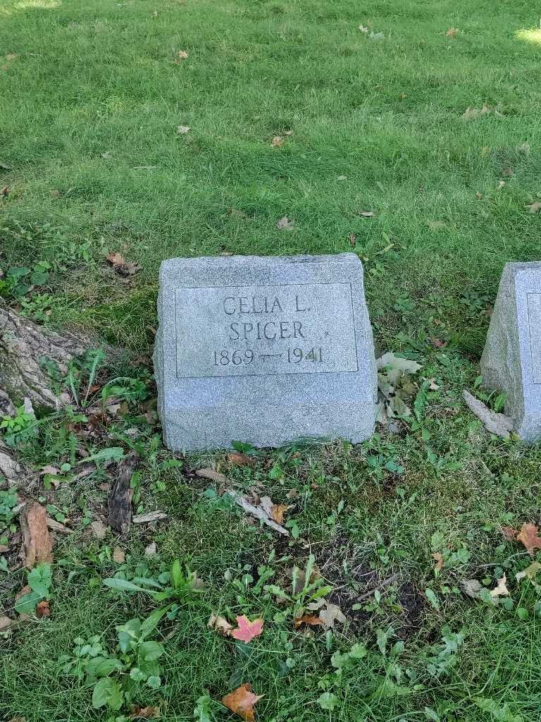 Celia L. Spicer's grave. Photo 2