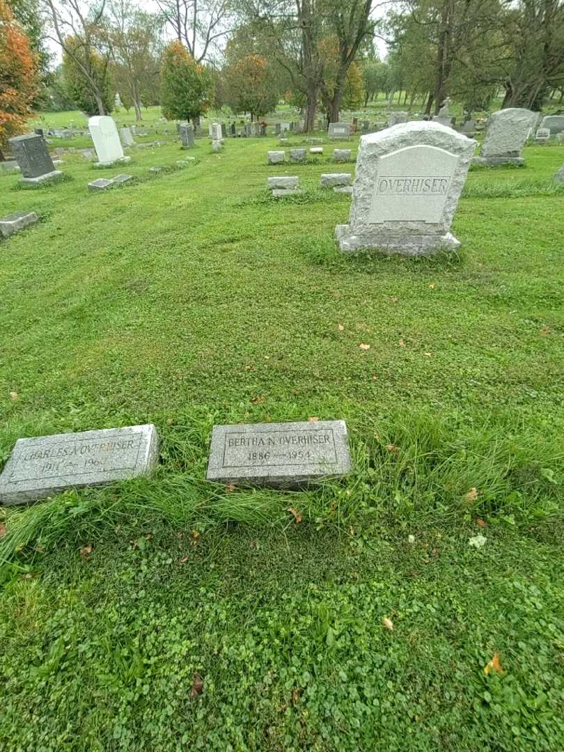 Bertha N. Overhiser's grave. Photo 1