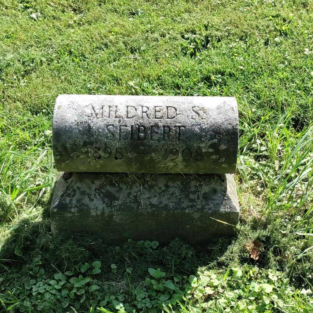 Mildred S. Seibert's grave. Photo 3