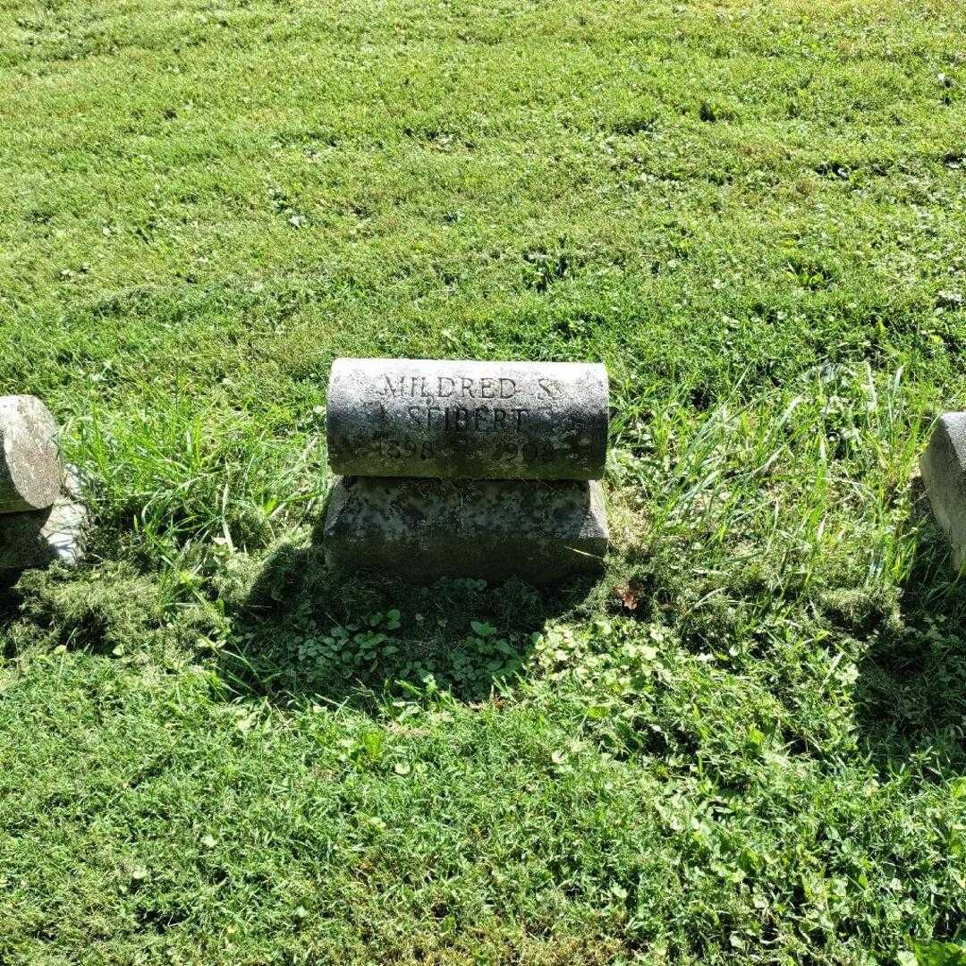 Mildred S. Seibert's grave. Photo 2